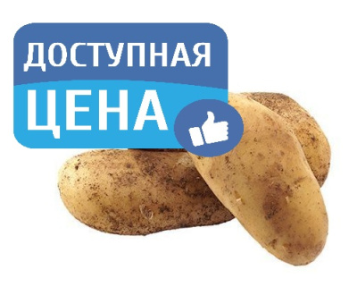 Картофель вес